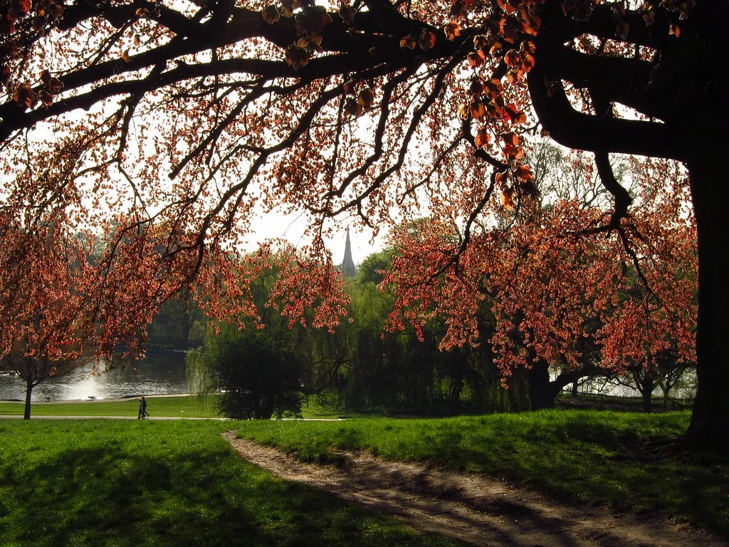 Highgate Mens Pond London